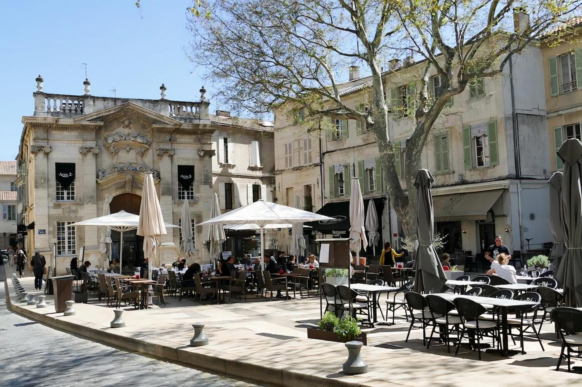 Le Petit Avignon - Chambres & Appartement A Deux Pas Du Pont D'Avignon Et Du Palais Des Papes Zewnętrze zdjęcie