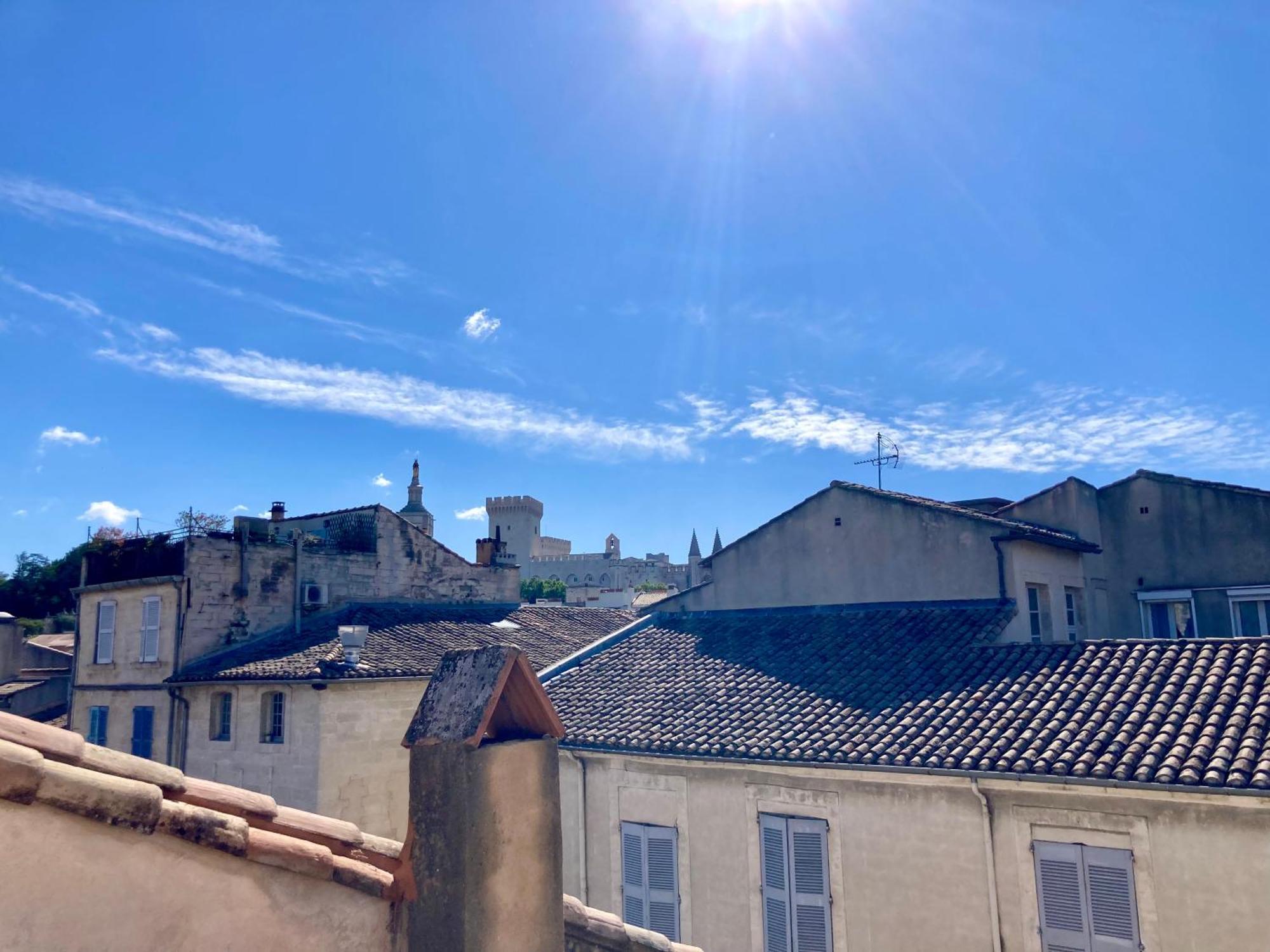 Le Petit Avignon - Chambres & Appartement A Deux Pas Du Pont D'Avignon Et Du Palais Des Papes Pokój zdjęcie